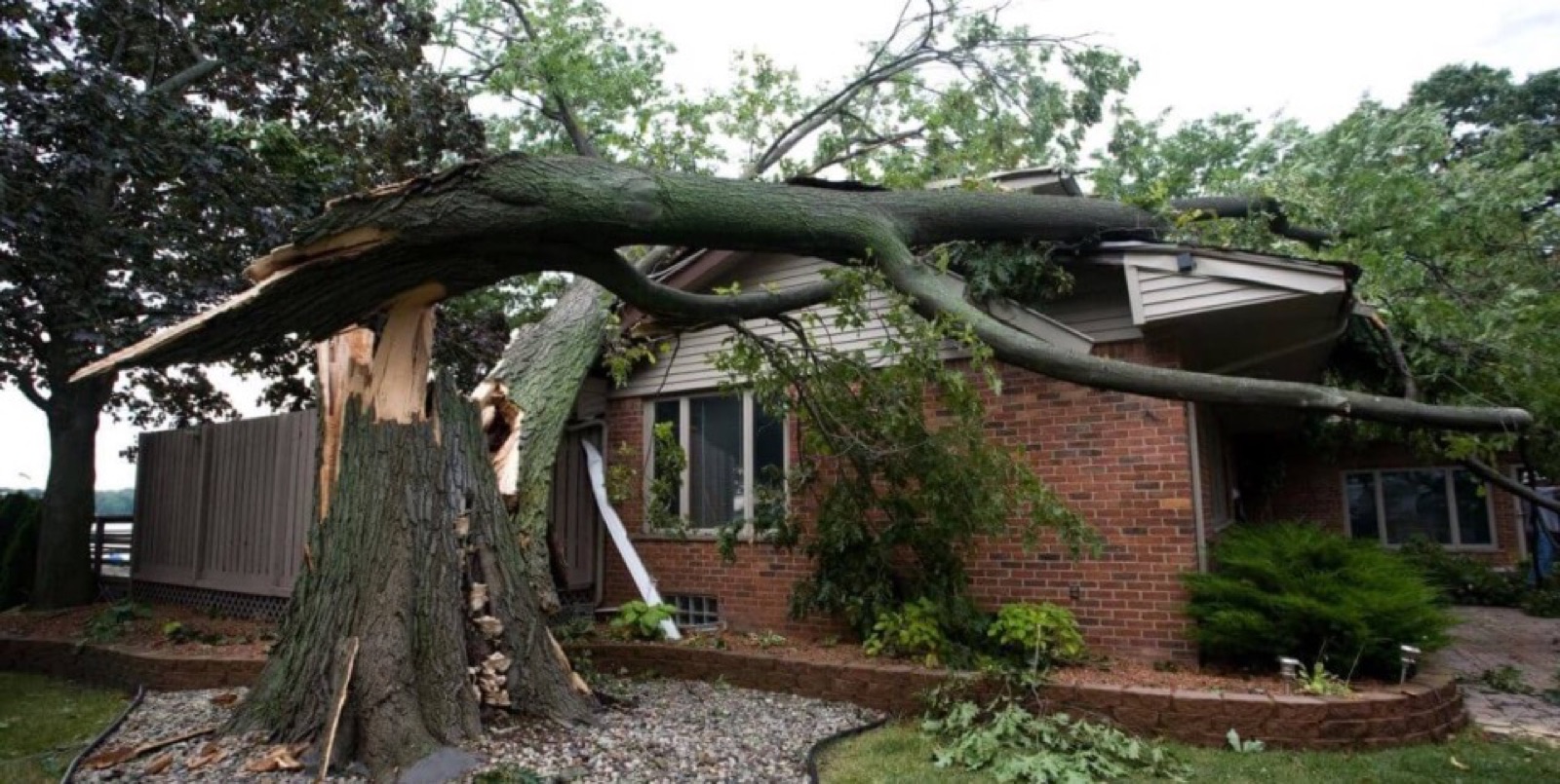 Working into the evening. Crane Work by Oak City Tree Services in Raleigh, NC.