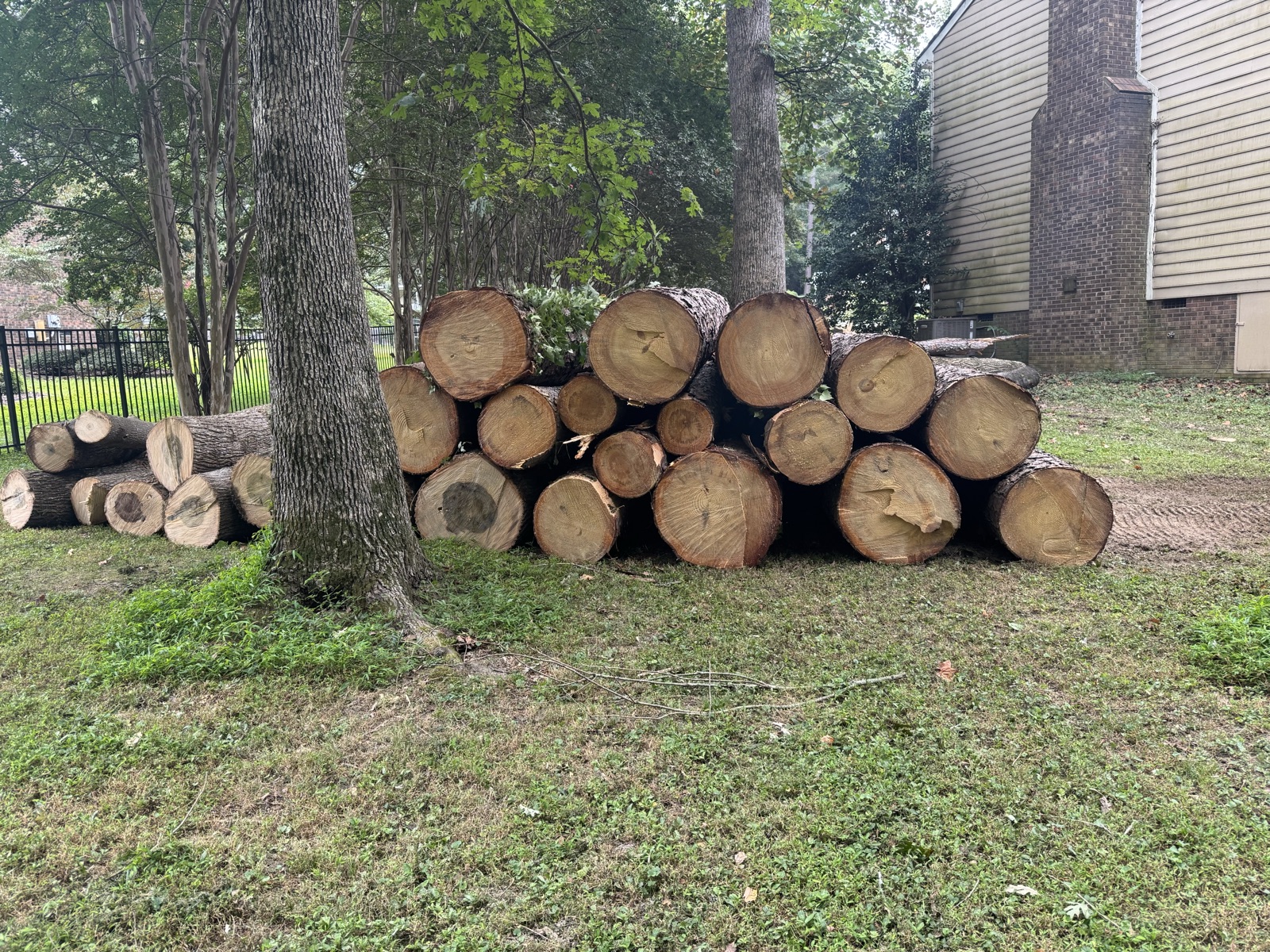 Wood cut and stacked